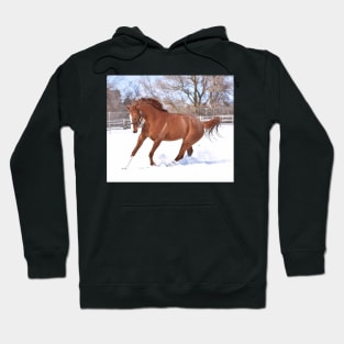 Verrazano filly Hoodie